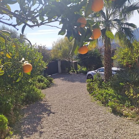 456 Chemin De La Pinede Menton Exterior foto