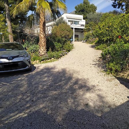 456 Chemin De La Pinede Menton Exterior foto