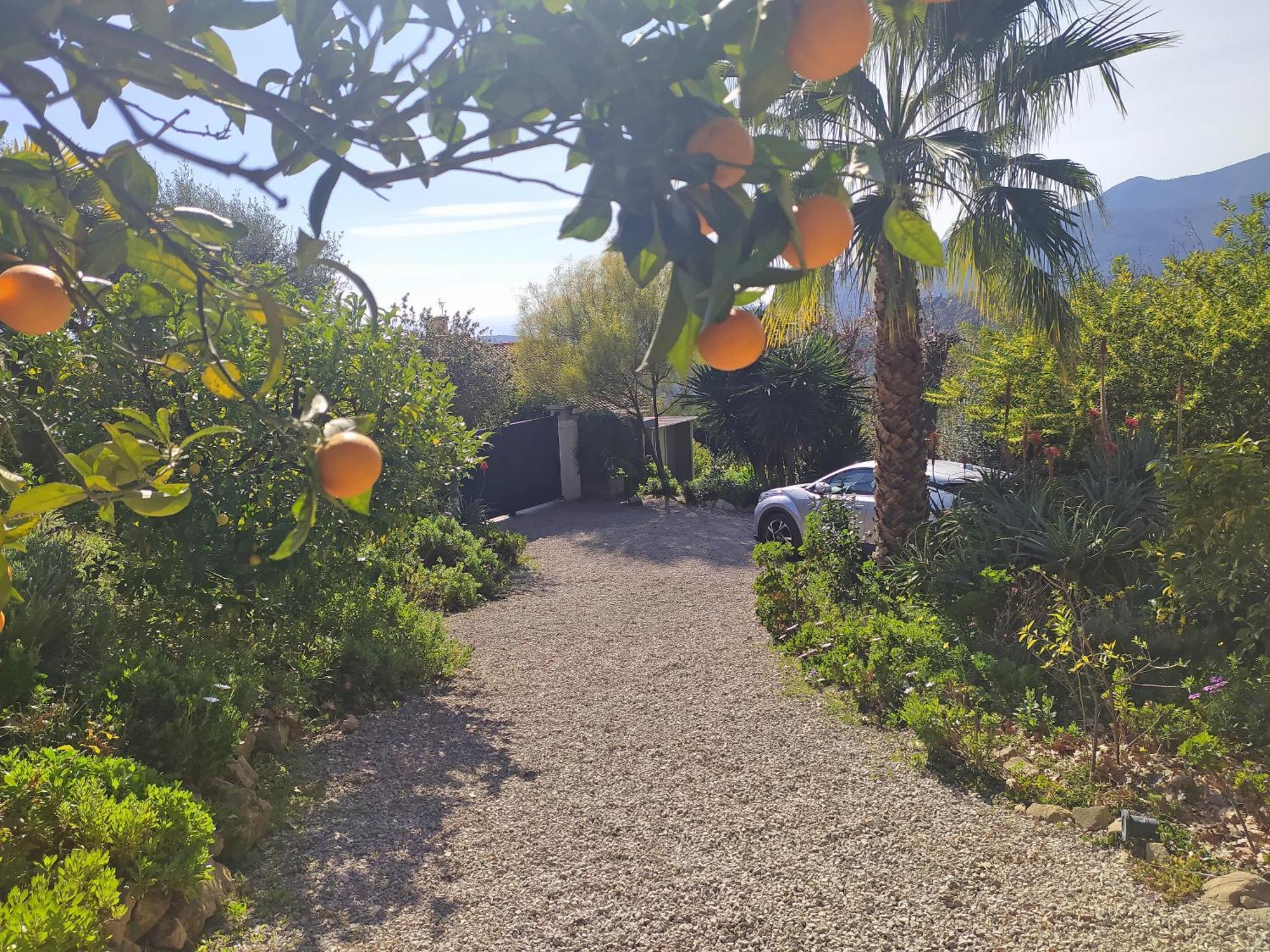 456 Chemin De La Pinede Menton Exterior foto