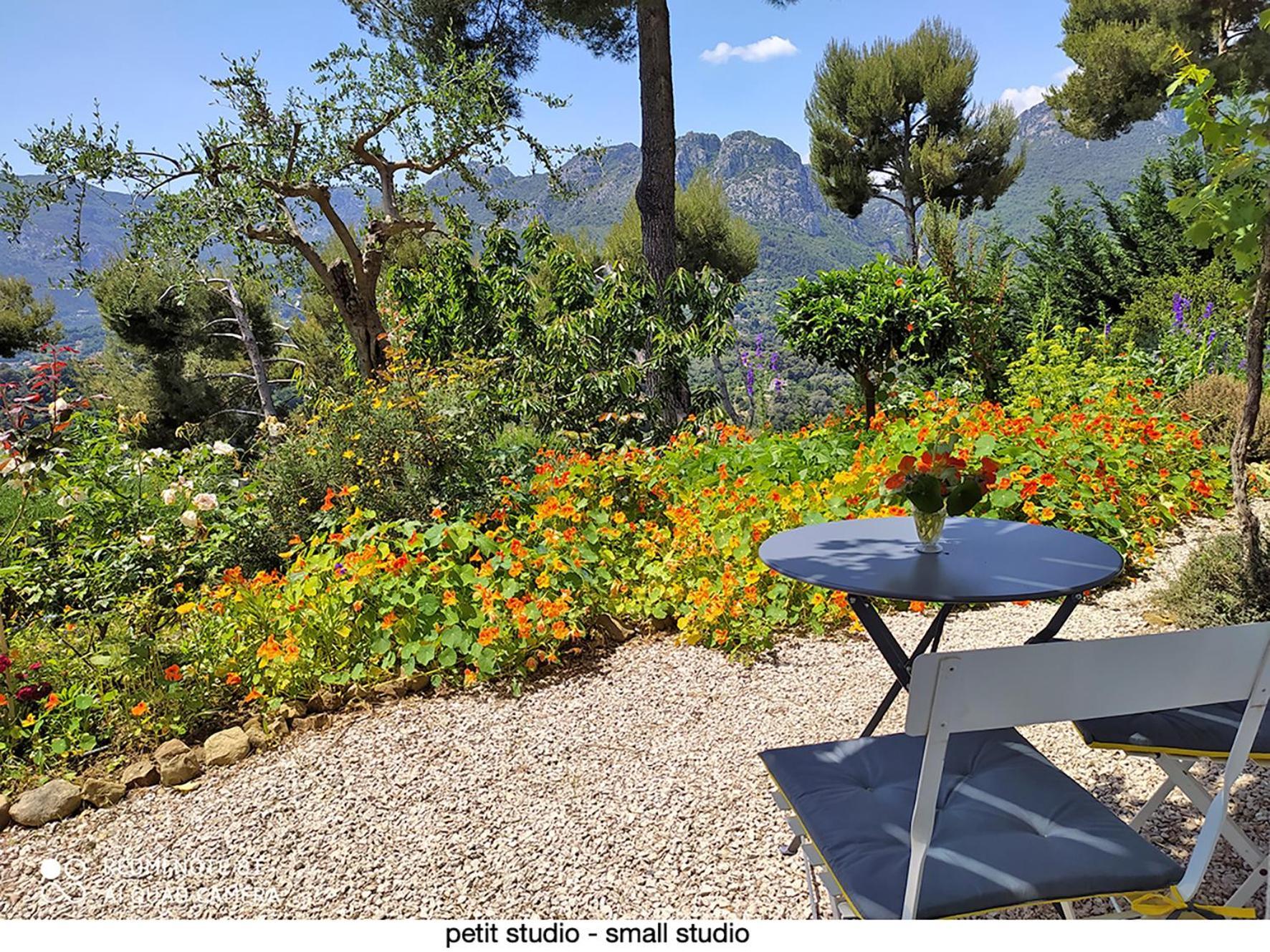 456 Chemin De La Pinede Menton Exterior foto